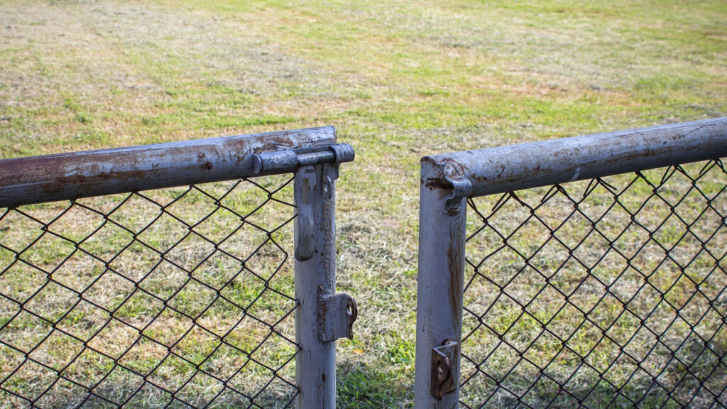 5 cheapest way to fence a yard for dogs