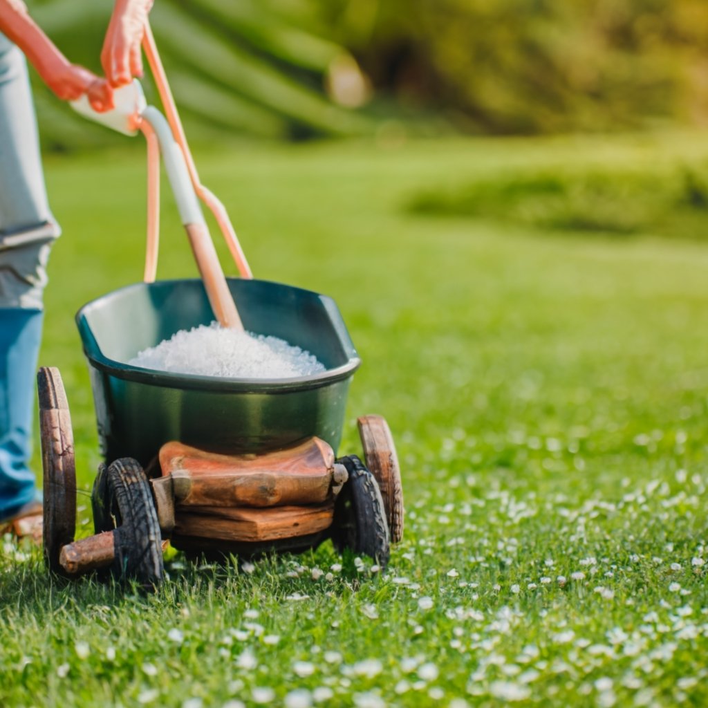 Epsom Salt for Your Lawn